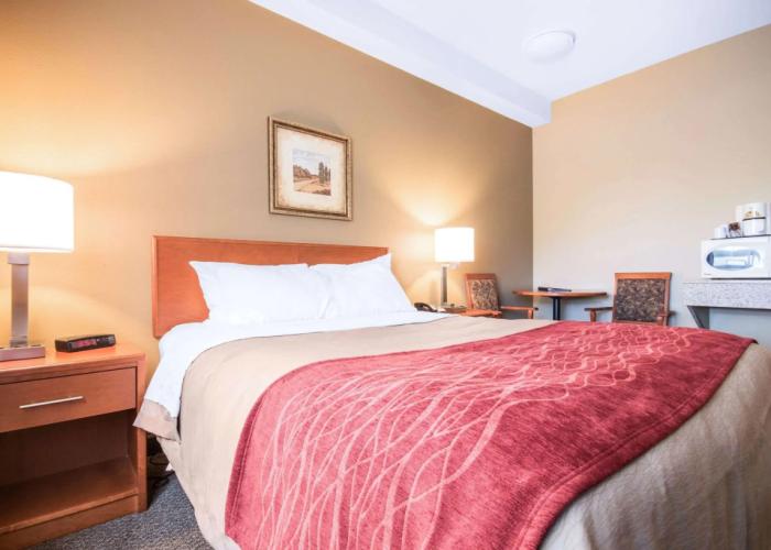 Comfort Inn & Suites