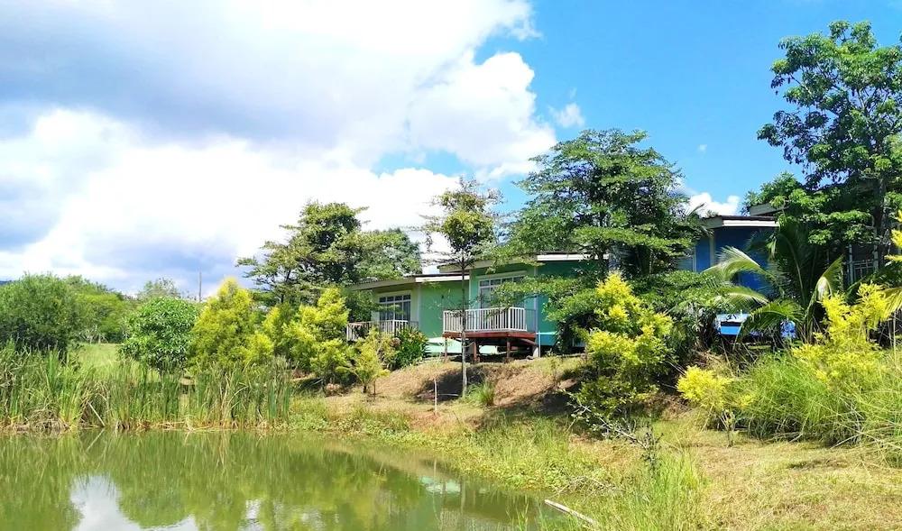 фото The Creek Villa