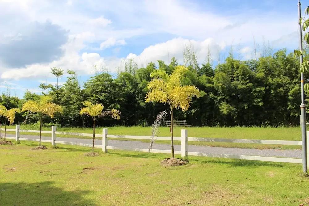 фото The Creek Villa