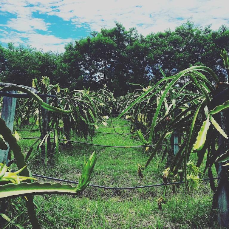 фото The Creek Villa