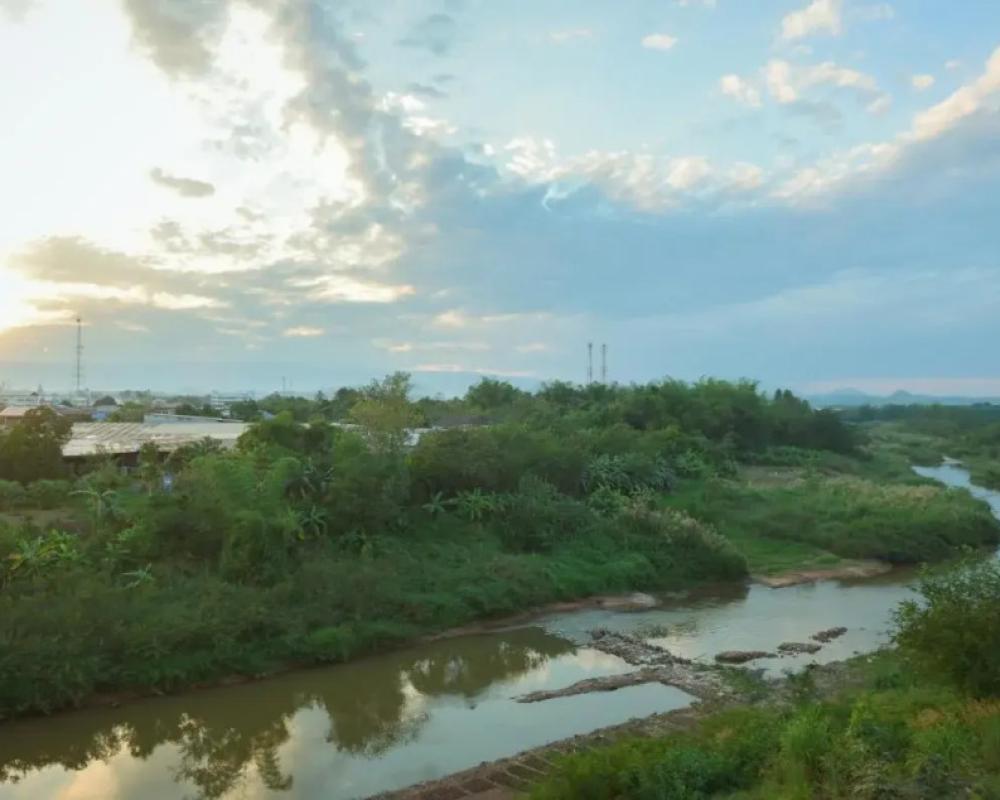 фото The Cozy Hotel