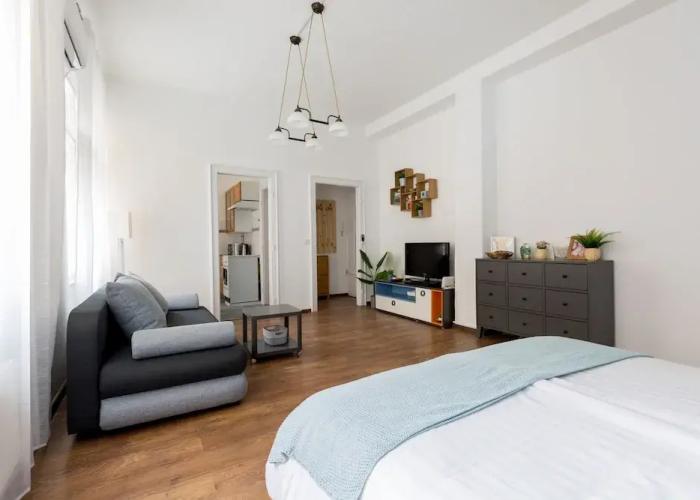 Central Apartment