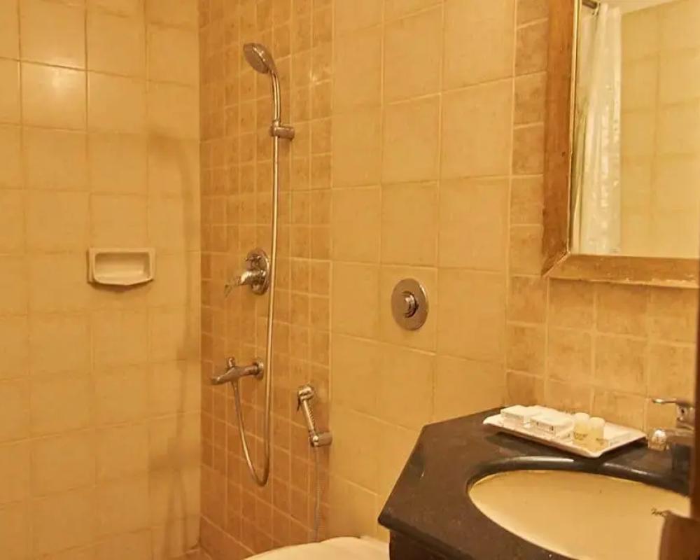 фото Hotel Roopa