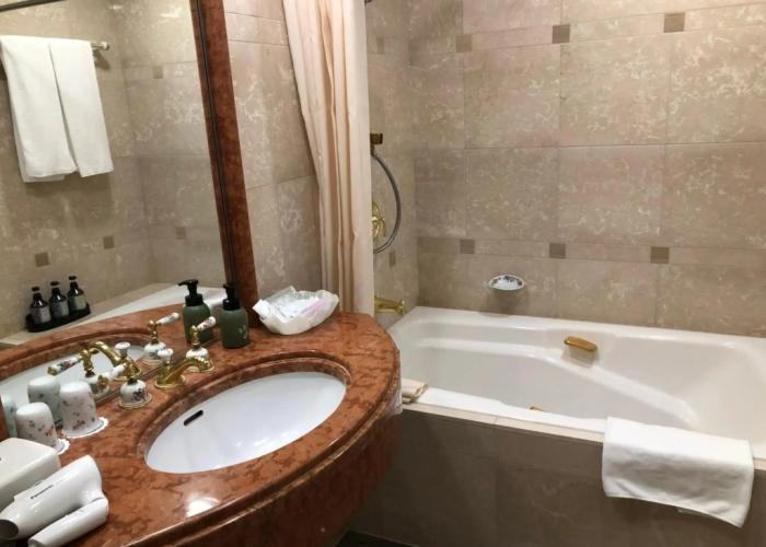International Garden Hotel Narita