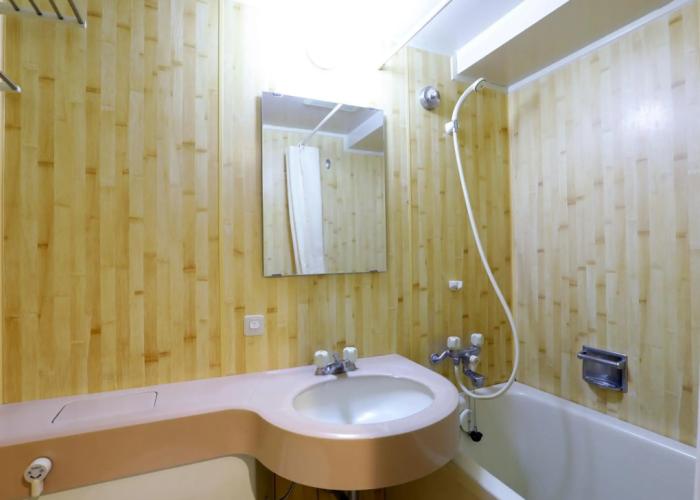 The Hedistar Hotel Narita