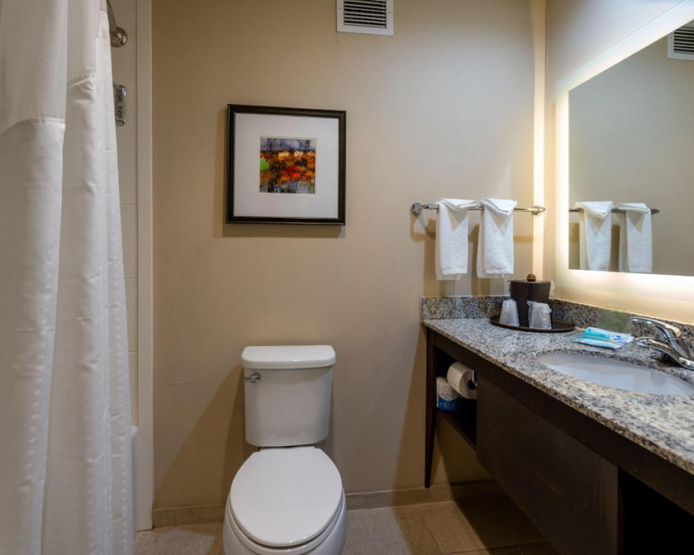 фото Holiday Inn Murfreesboro by IHG