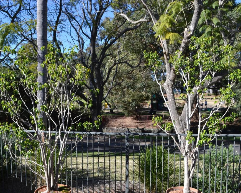 фото Parkhaven