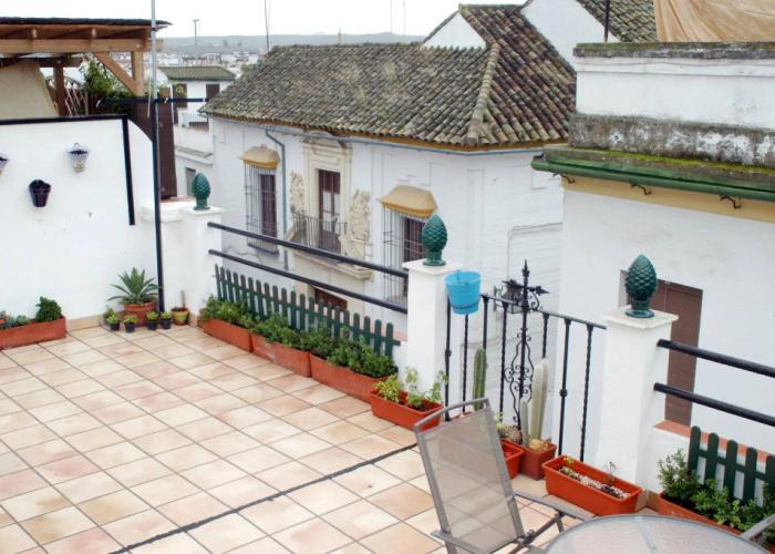 Vitium Córdoba
