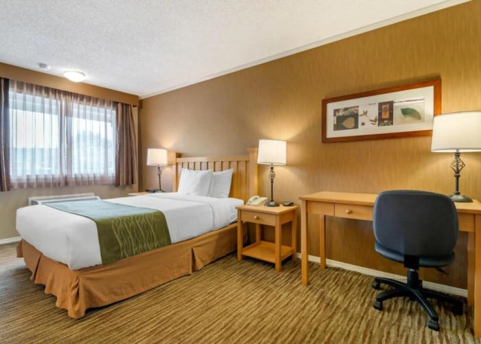 Econo Lodge Inn & Suites