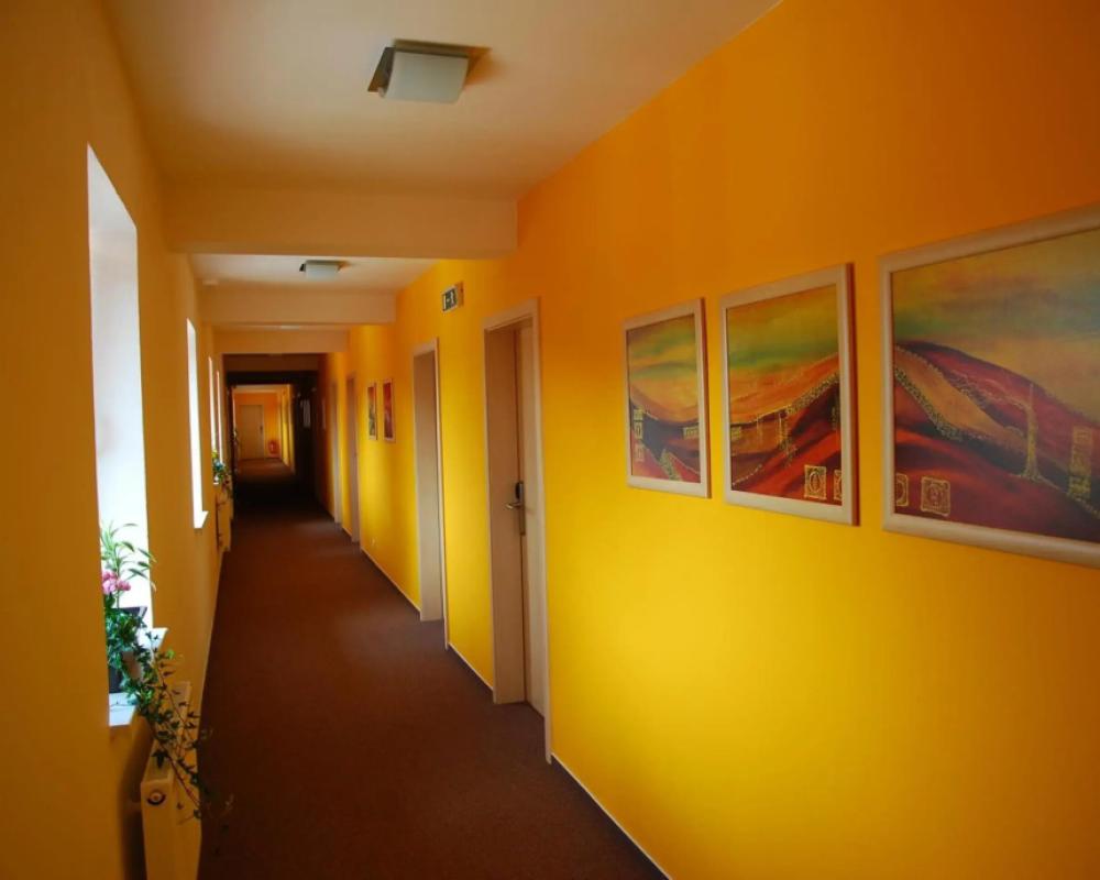 фото Senimo
