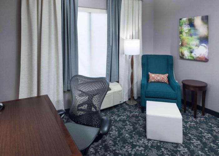 Hilton Garden Inn Detroit/Novi