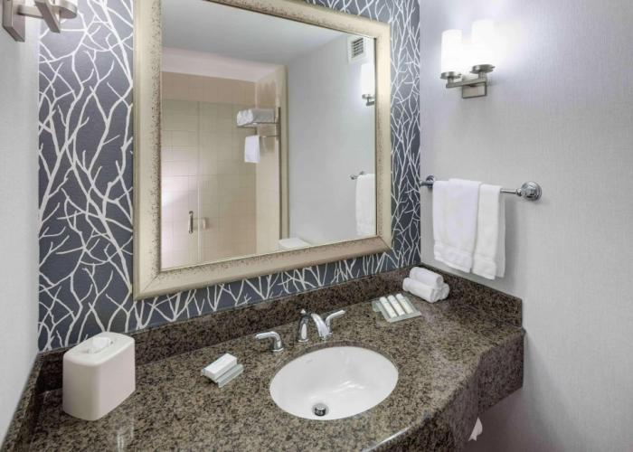 Hilton Garden Inn Detroit/Novi