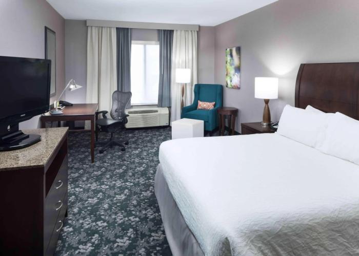 Hilton Garden Inn Detroit/Novi