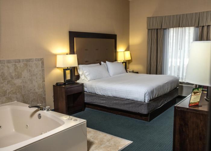 Holiday Inn Express Hotel & Suites Detroit-Novi by IHG