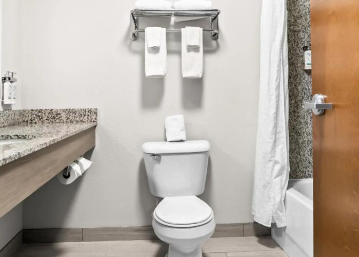 Holiday Inn Express Hotel & Suites Detroit-Novi by IHG