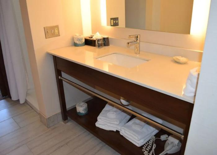 Four Points by Sheraton Detroit Novi