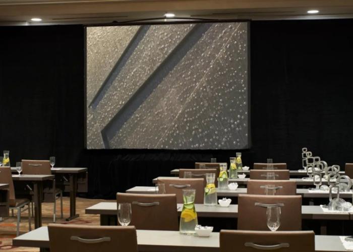 The Baronette Renaissance Detroit-Novi Hotel