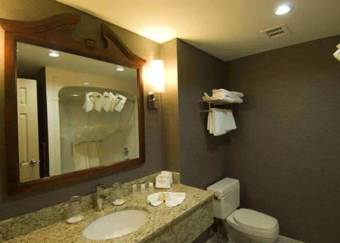 TownePlace Suites by Marriott Toronto Oakville
