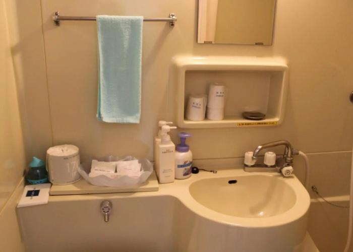 Hotel Green Plaza Hamanako