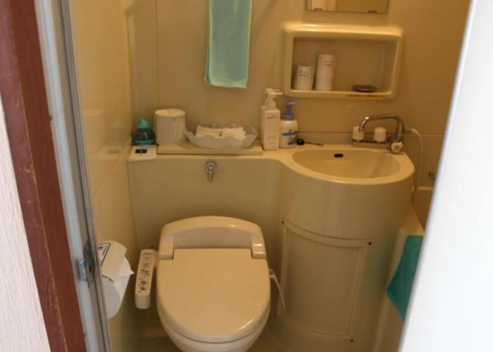 Hotel Green Plaza Hamanako