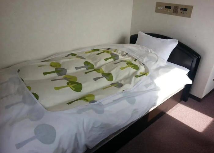 Hotel Wakasato