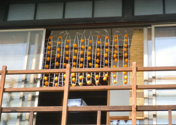 Guesthouse Hotobil