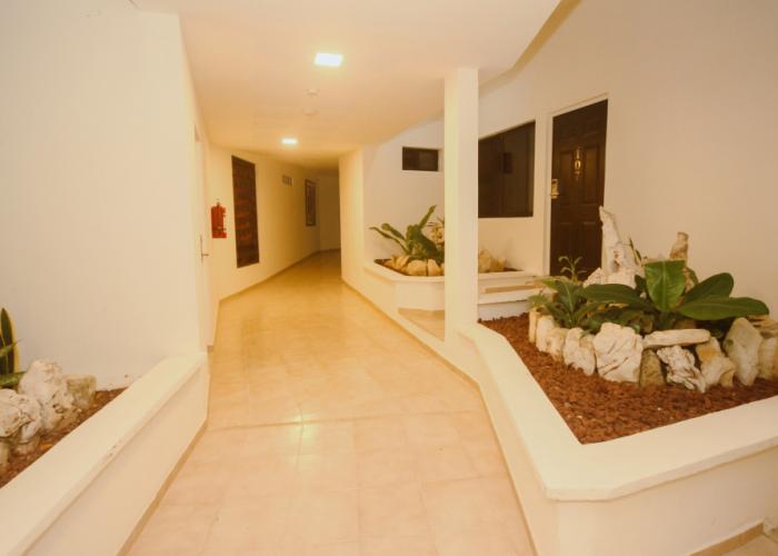 Hotel Maya Tulipanes Palenque