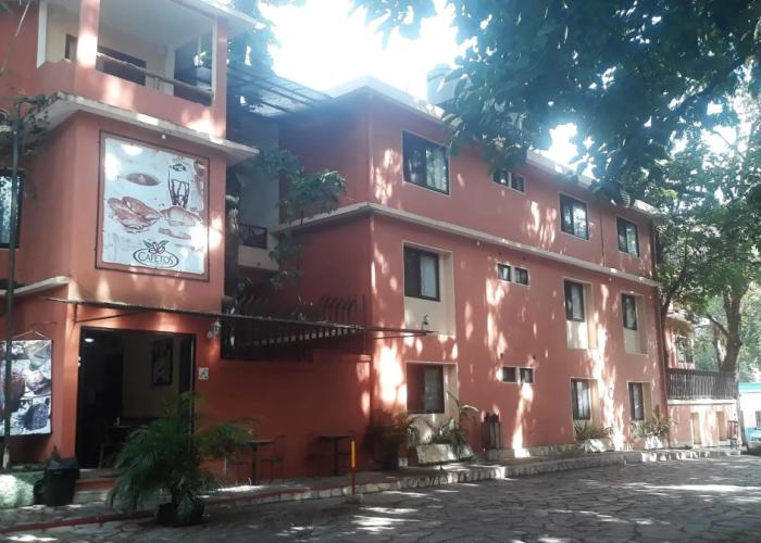 Hotel Maya Tulipanes Palenque