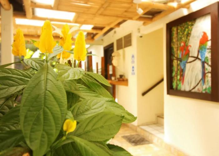 Casa Janaab Palenque - Hostel