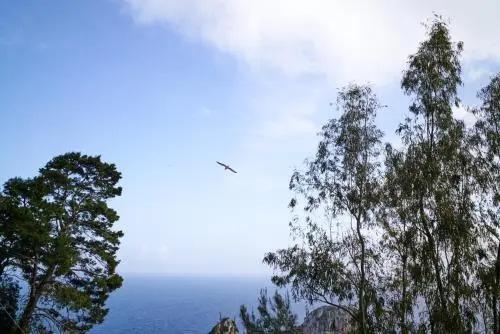 фото Villacore Capri