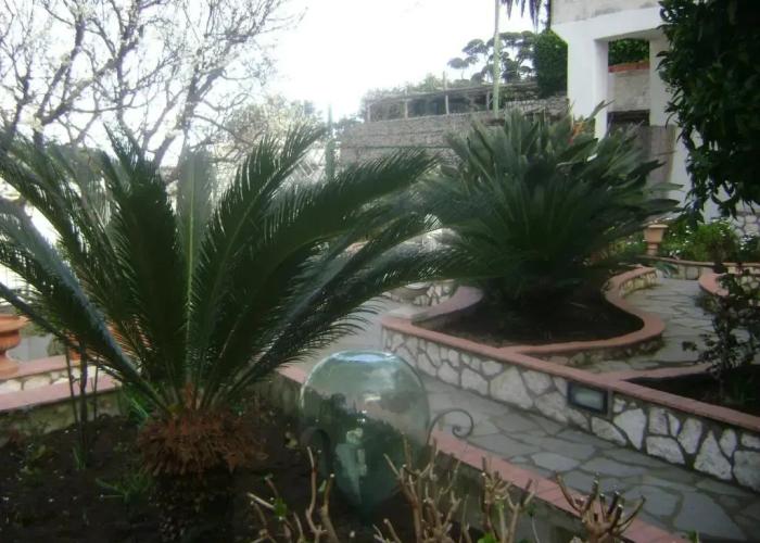 B&B Palazzo a Mare