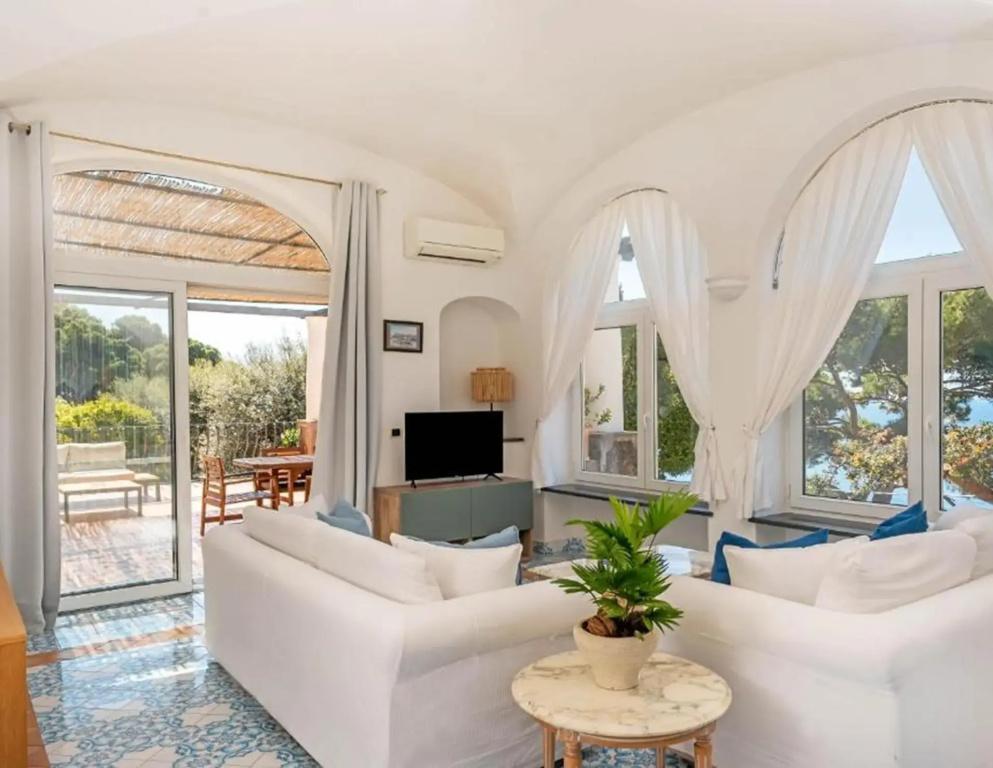 фото Oliveto Capri