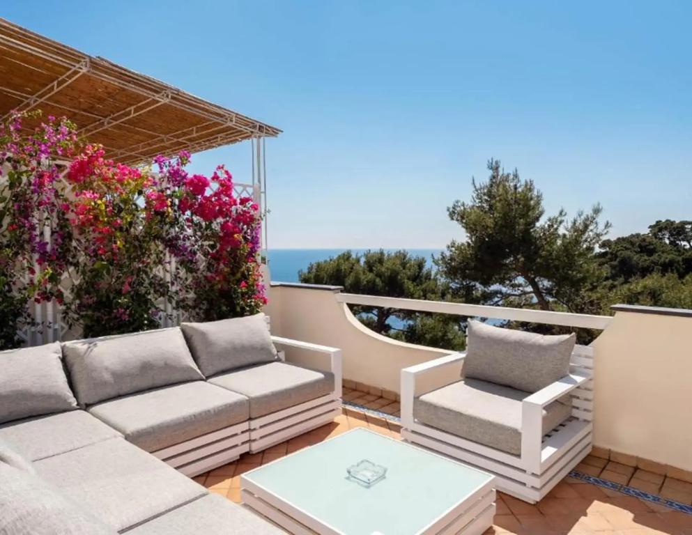 фото Oliveto Capri