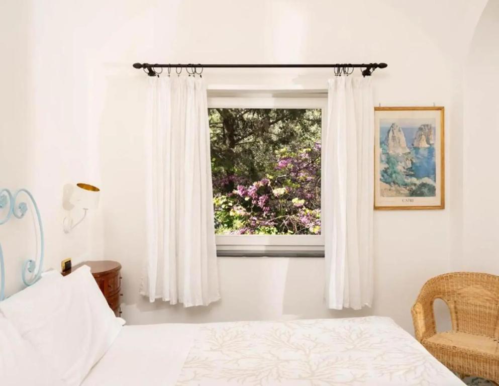 фото Oliveto Capri