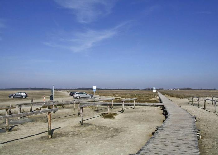 Apartment, St. Peter-ording