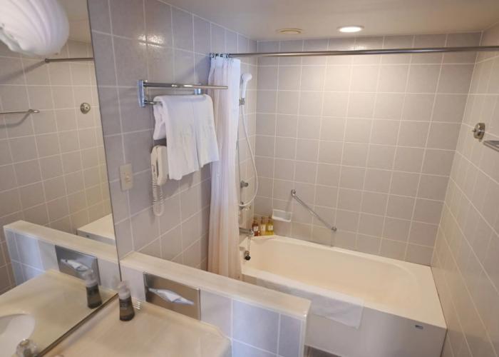 Hotel Springs Makuhari