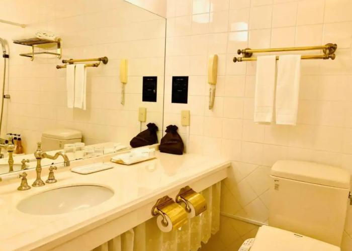 Hotel Francs