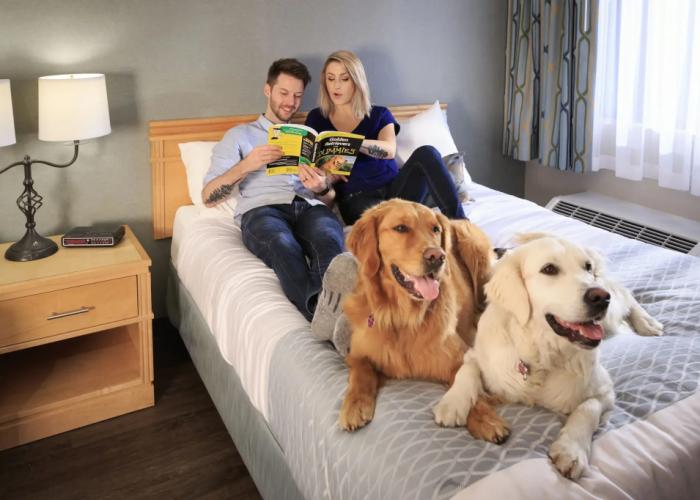 Accent Inns Burnaby
