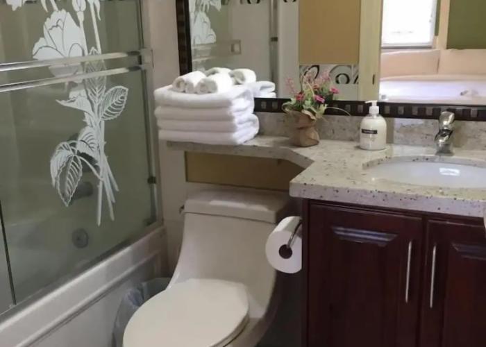 Vancouver Metrotown Modern Guest House