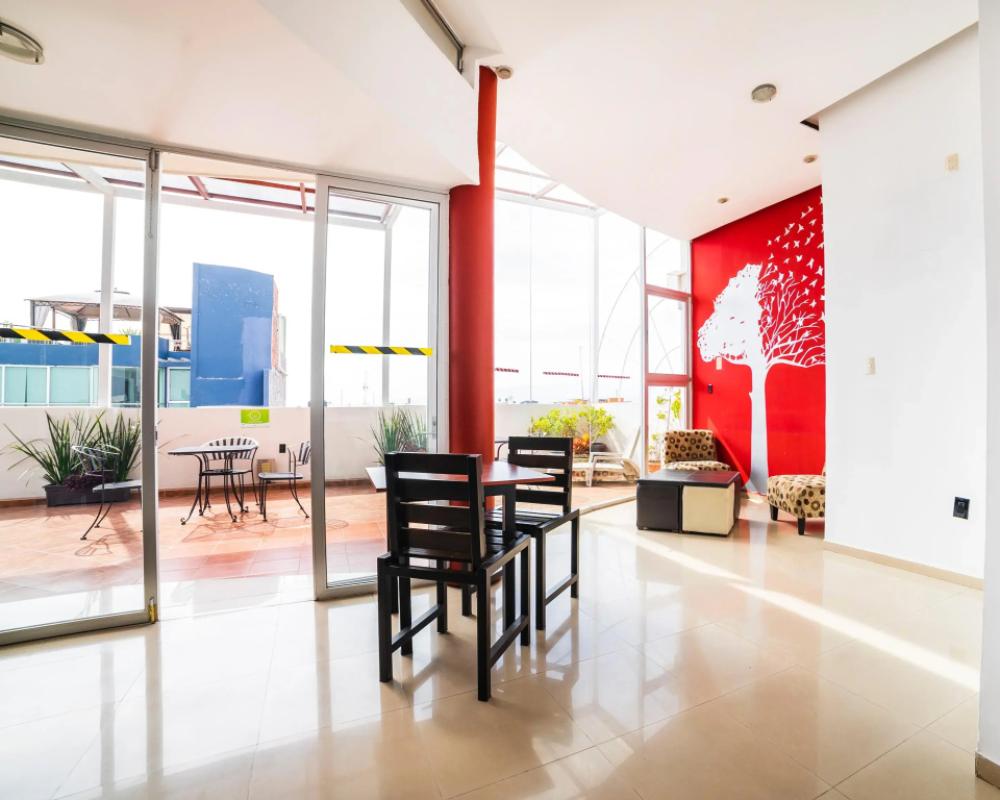 фото Hotel Cano