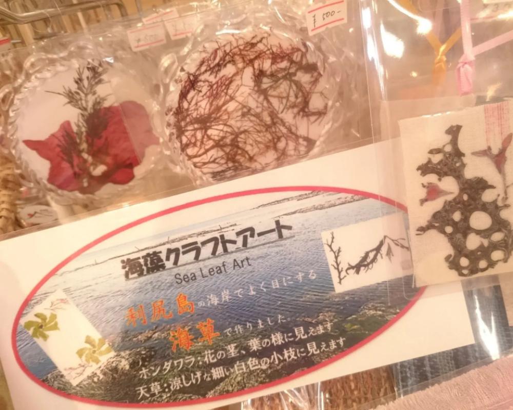 Rishiri Fuji Kanko Hotel