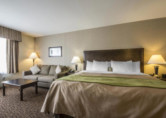 Comfort Inn Surrey Hotel