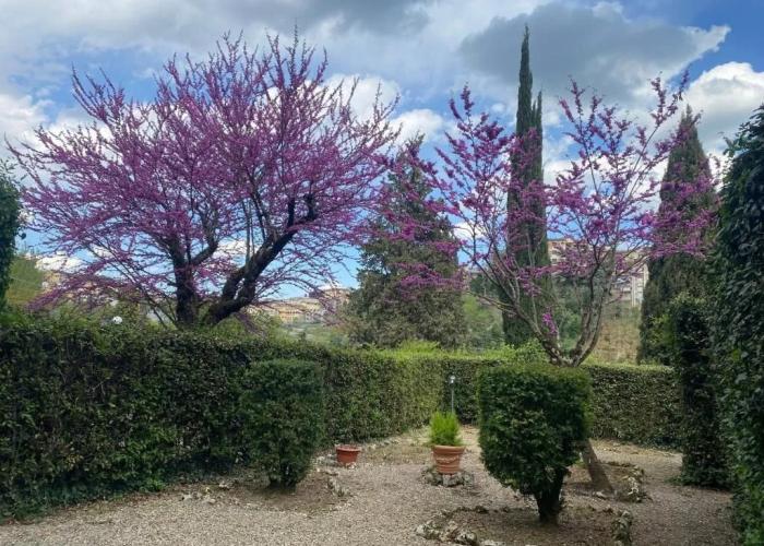 Villa Zara B&B