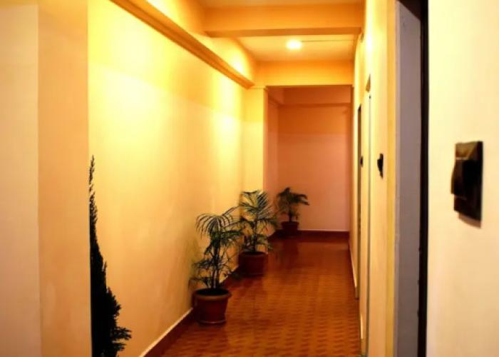 Lily Guest House