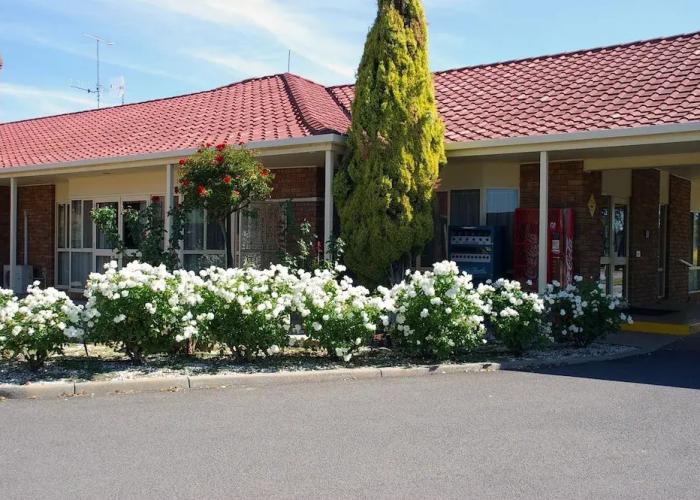 Pines Country Club Motor Inn