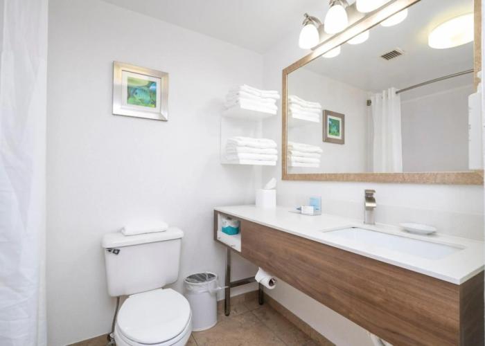 Hampton Inn Spring Hill