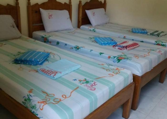 Eco Pension