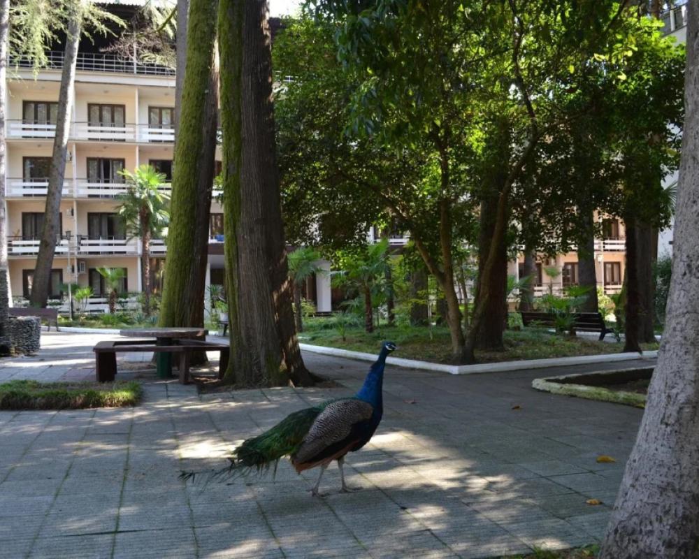 фото Aitar Hotel