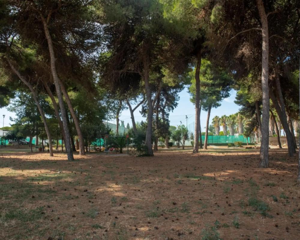 фото Tursport Hotel Residence