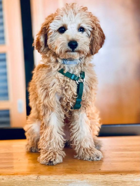 фото Tursport Hotel Residence